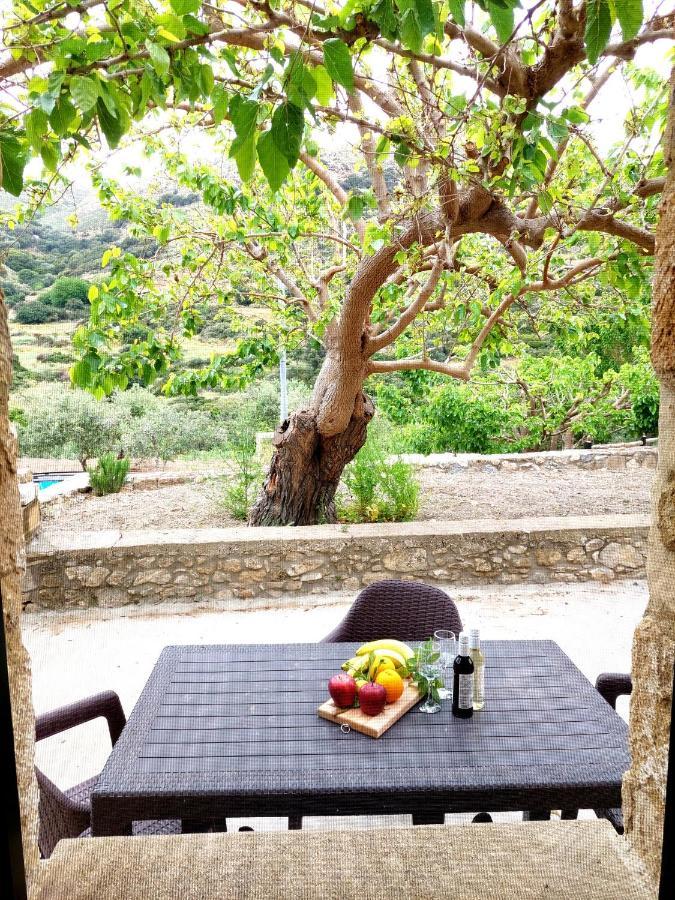 Petrakis Cretan Homes Kíssamos Dış mekan fotoğraf
