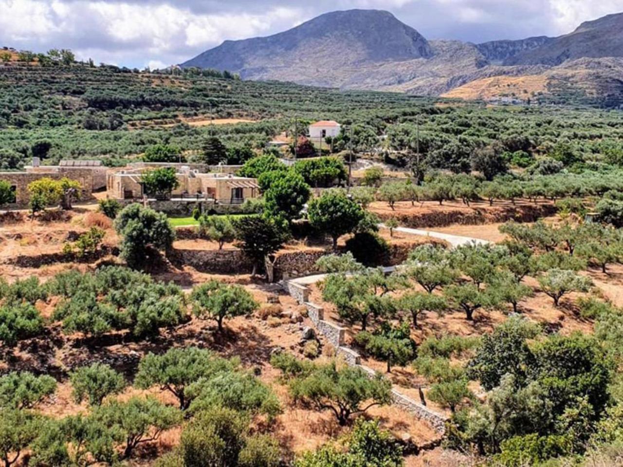 Petrakis Cretan Homes Kíssamos Dış mekan fotoğraf
