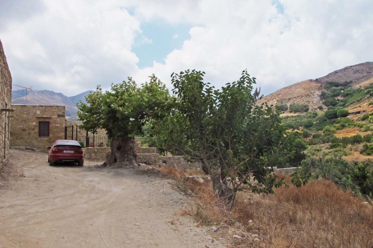 Petrakis Cretan Homes Kíssamos Dış mekan fotoğraf