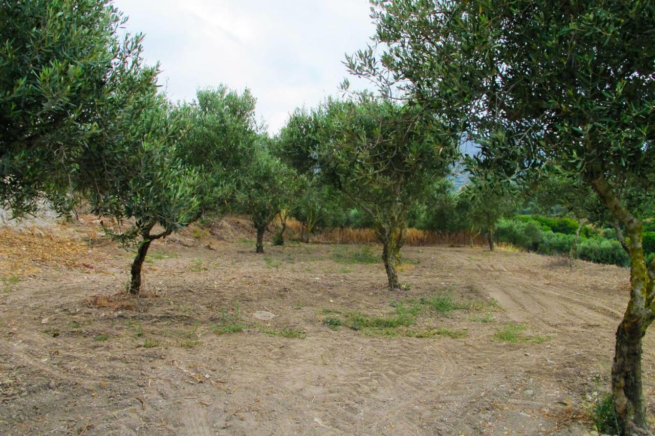 Petrakis Cretan Homes Kíssamos Dış mekan fotoğraf