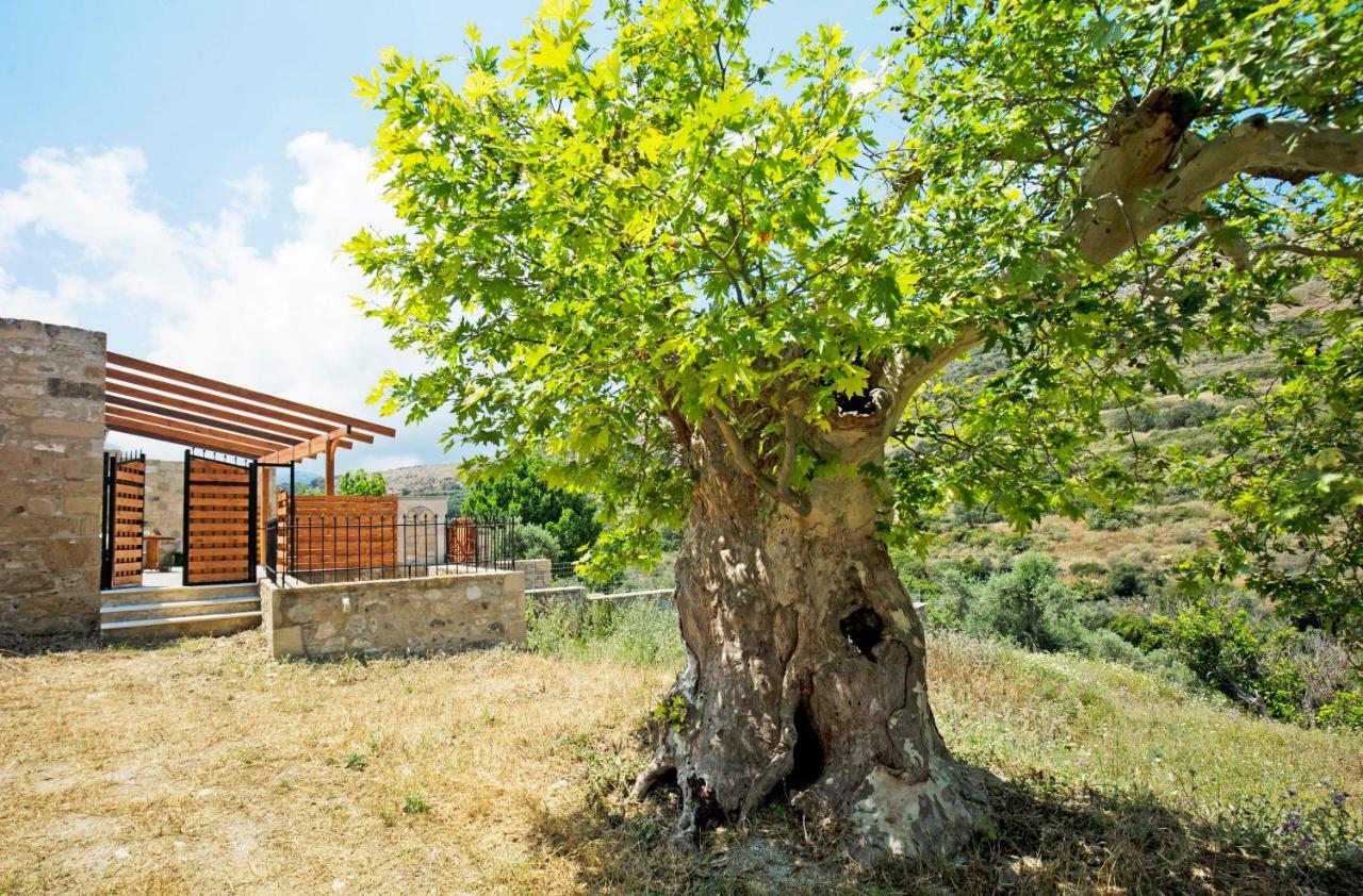 Petrakis Cretan Homes Kíssamos Dış mekan fotoğraf